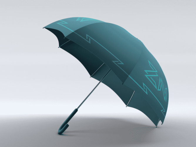 ZN Umbrella